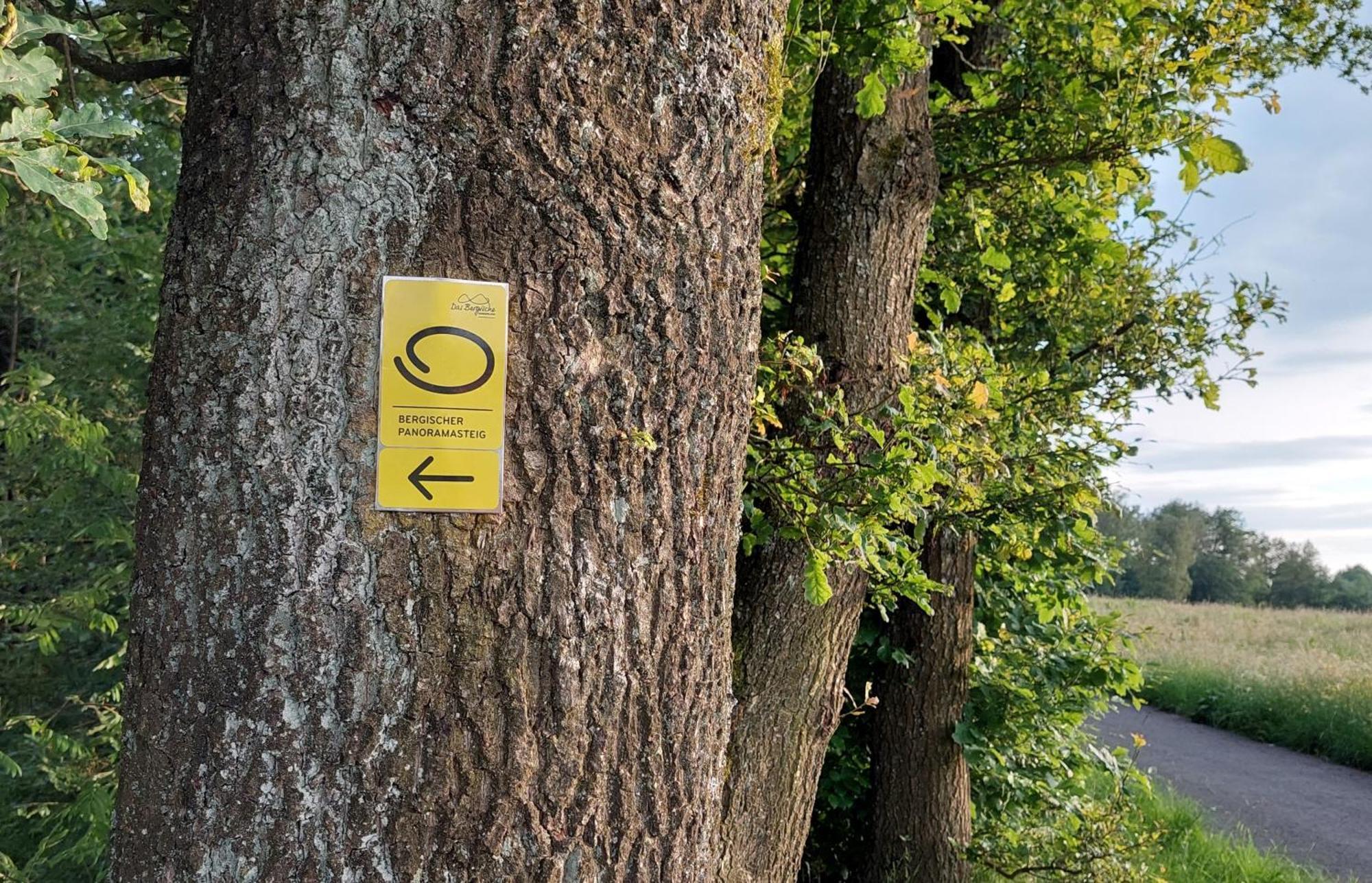 Ferienwohnung Waldbroel - Nahe Naturerlebnispark فالدبرول المظهر الخارجي الصورة