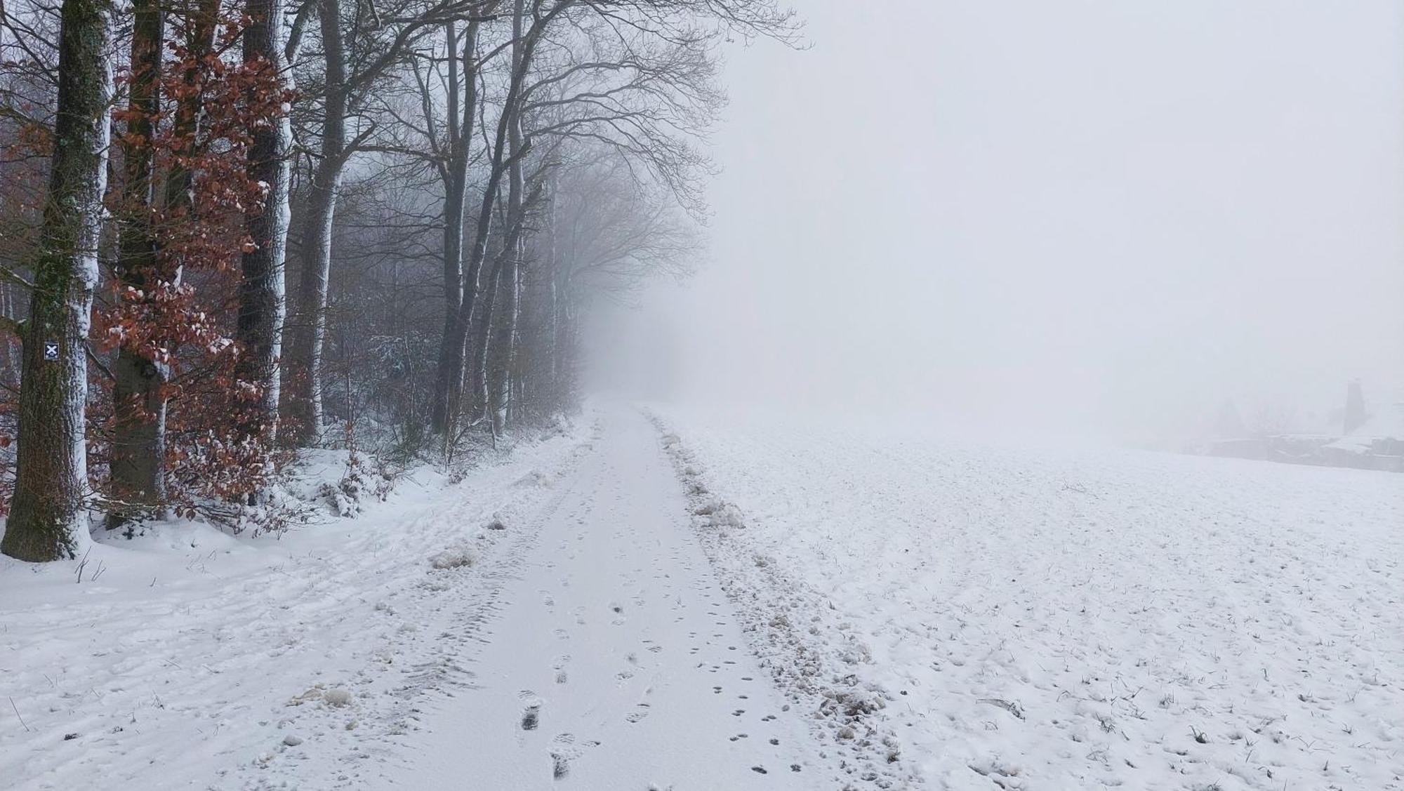 Ferienwohnung Waldbroel - Nahe Naturerlebnispark فالدبرول المظهر الخارجي الصورة
